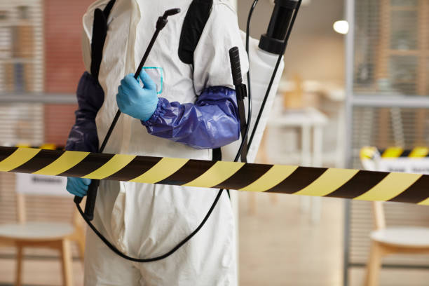 Professional Odor Removal technician working in Columbus, WI